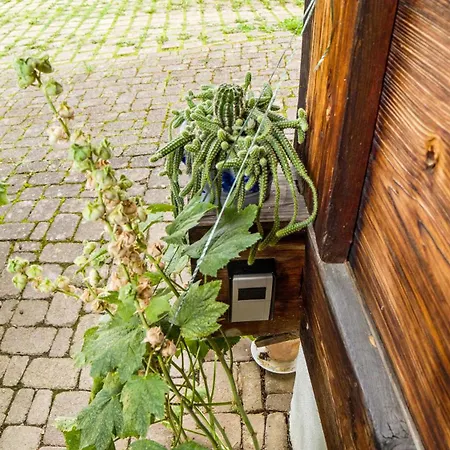 Haus Miriam Apartment *