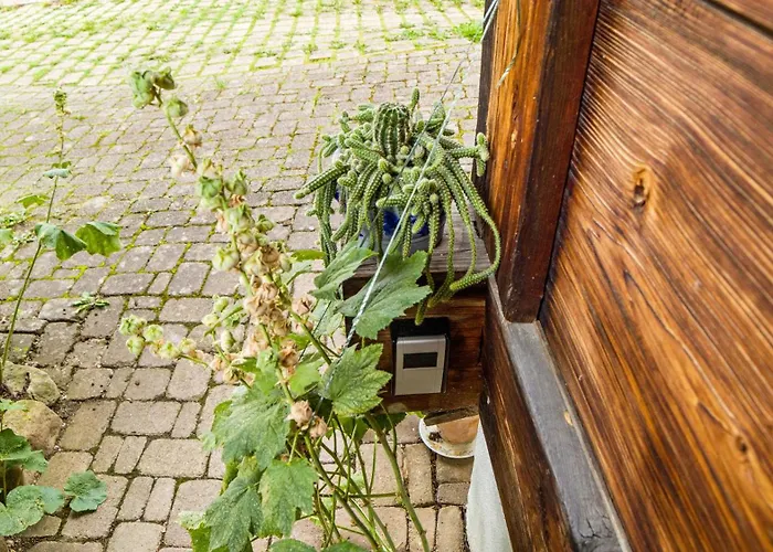 Haus Miriam Appartement *